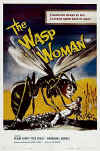CT103 -waspwoman.jpg (84075 bytes)