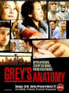 rt216-greys-1.jpg (71984 bytes)