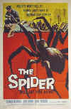 spider.jpg (83724 bytes)
