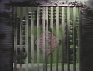 001-03.jpg (9464 bytes)