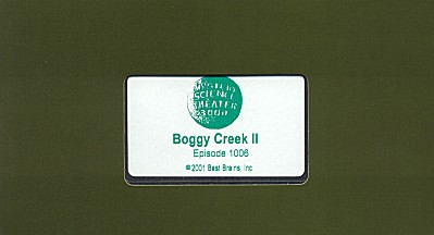 bbi-bvid-b-boggy.jpg (15834 bytes)