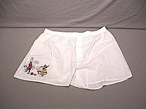 bbi-bvid-shorts.jpg (18360 bytes)