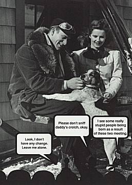 bbi-card-7.jpg (39361 bytes)