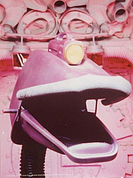 bbi-char-gyps.jpg (32392 bytes)