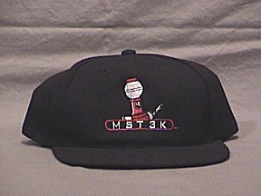 bbi-hat-servo.jpg (18169 bytes)