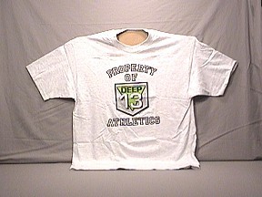 bbi-tshirt-deep13.jpg (20331 bytes)