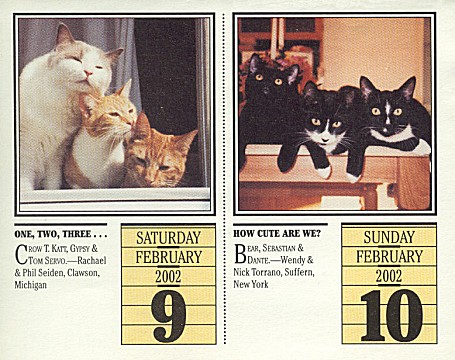 mem-rec-cats.jpg (72913 bytes)