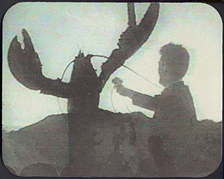 nbb-maus1.jpg (55385 bytes)