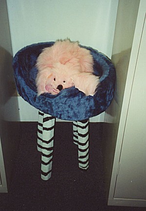 99-064.jpg (33409 bytes)