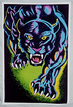 prop1013-night.jpg (42950 bytes)