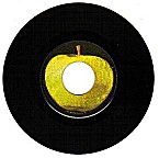 apple.jpg (7699 bytes)