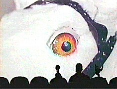 t007.jpg (16741 bytes)