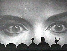 t009.jpg (18419 bytes)