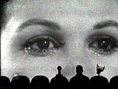 t011.jpg (19721 bytes)