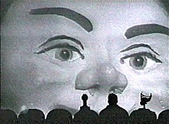 t020.jpg (20621 bytes)