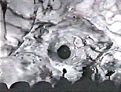 t028.jpg (20543 bytes)