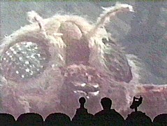 t029.jpg (17971 bytes)