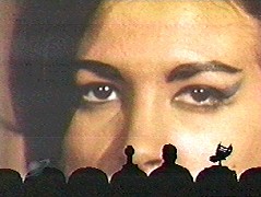 t033.jpg (15485 bytes)