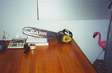 99-012.jpg (33275 bytes)